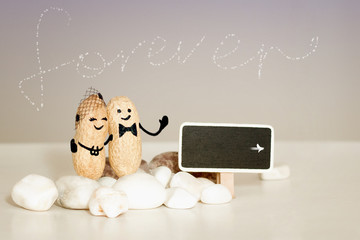 Forever love idea. Two peanuts with drawn faces hugging on pink vanilla background. Family, love,...