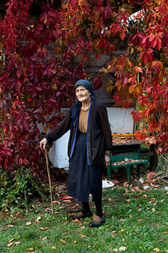 Portrait of senior woman with walking stick standing in autumn garden