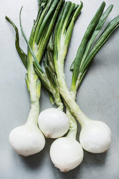 Garlic plant