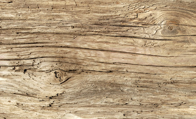 Altes Treibholz / Holz aus Eiszeitsee, Textfreiraum, Hintergrund, Textur 