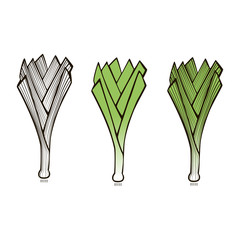 Cute fresh leek cartoon style illustration set on white background