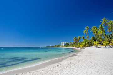Tropical sand Beach on the Caribbean sea. Clear blue sea and high palm trees	