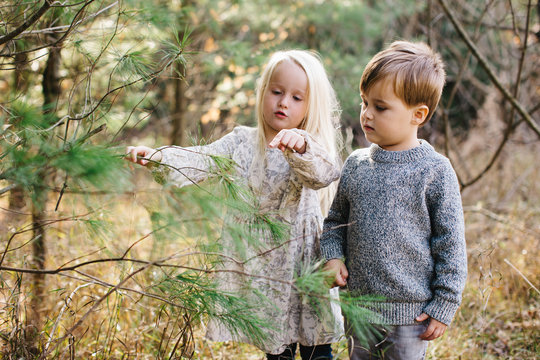 Siblings looking and pointing at tree in forest