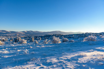Field covered by snow with mountains on background