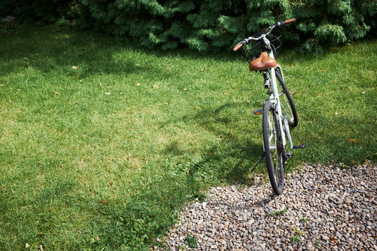 Bicycle parked on garden lawn