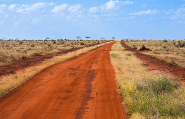 Road in Tsavo East National park. Kenya.
