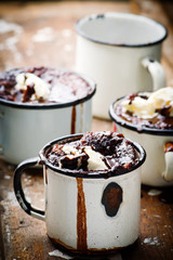 Hot Fudge Pudding Cake with ice cream