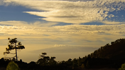 Mountain canary island teide tenerife