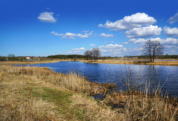 Spring landscape, scenery of nature - river