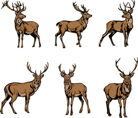 Fototapeta premium jeleń, postać jelenia, wektor, ilustracja, czarny, kolor, sylwetka, znaczek
