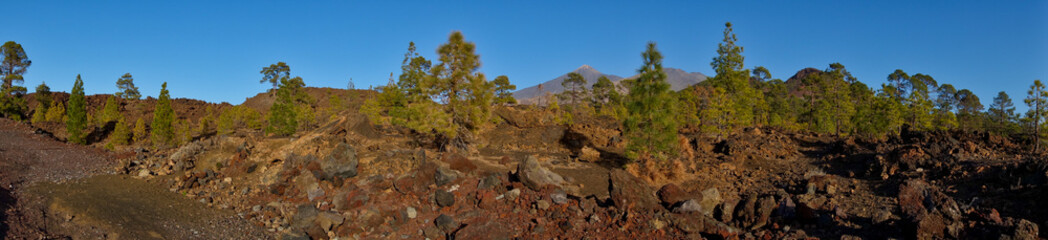 Fototapeta na wymiar Mountain canary island teide tenerife