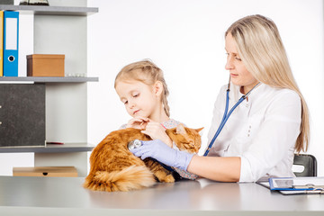 female vet and girl with kitten in clinic