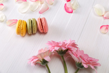Macaroon cakes with pink rose petals and Gerbera flowers. Different types of macaron. Colorful almond cookies. On white wooden rustic background.