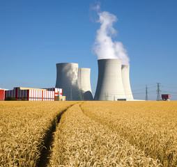 Fototapeta na wymiar Nuclear power plant Temelin with wheat field, Czech Republic