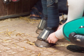 Frau legt ihrem Hannoveraner Pferd einen Hufschuh an