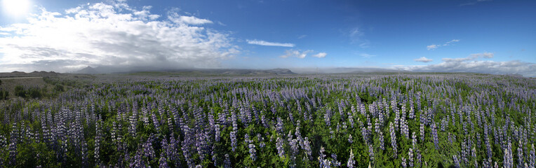 Fototapeta premium Iceland