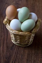 Farm colored eggs