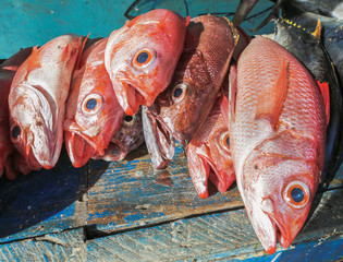 Red fish for sale on street