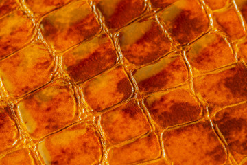 Texture of genuine patent leather close-up, embossed under the skin a orange-brown reptile. For...