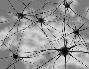 Nerve cells abstract 3D illustration. - obrazy, fototapety, plakaty