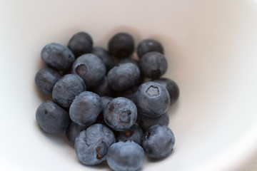 Blueberry Dream