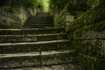 Magic steps