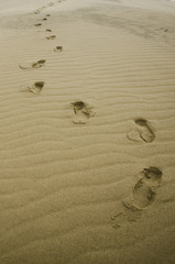  footprints in the sand