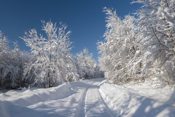 Obraz premium Winter tunnel