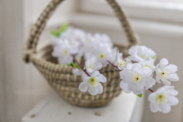 white spring flowers in a basket on the wooden table