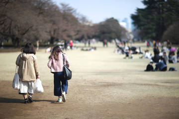People in a large city park of Tokyo gather for a picnic in the early spring