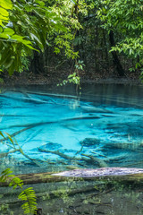 Warm water streams Sa Morakot, Wildlive Sanctuary, Spring Pool, Khao Pra, Bangkram Krabi, Thailand. Southeast Asia