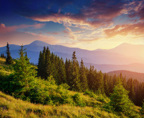 Naklejka na ściany i meble Beautiful summer mountain landscape. Dramatic scene. Carpathian,