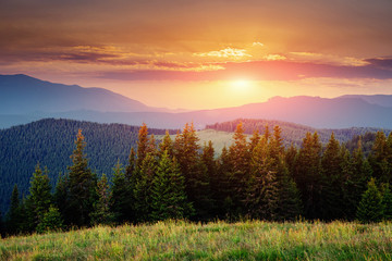 Obraz na płótnie Canvas Beautiful summer mountain landscape. Dramatic scene. Carpathian,