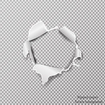 Torn paper realistic, hole in the sheet of paper on a transparent background. Vector illustration