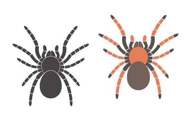 Tarantula