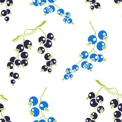 Black Currant. Vector seamless pattern. Floral hand drawn illustration with berries
