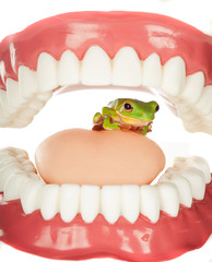 Frog in throat