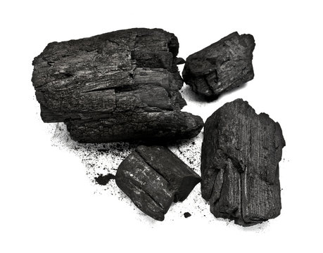 Piece of fractured wood coal