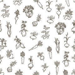 Seamless pattern - root vegetables