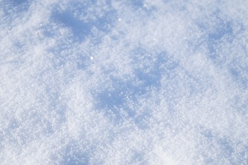 Snow wallpaper