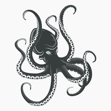 Ocean Octopus or sea octopoda with tentacles