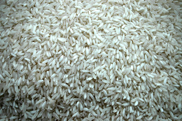 Rice background