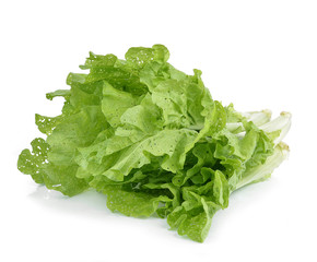 fresh green lettuce leaves isolated on white