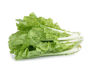 fresh green lettuce leaves isolated on white