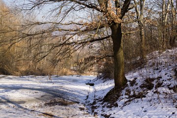 Nature under the snow with sun and shadows in winter. Slovakia
