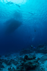 Fototapeta na wymiar Diver returning to dive boat