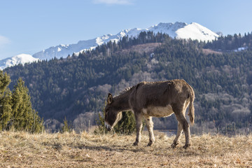 Anes dans le massif de Belledonne.
