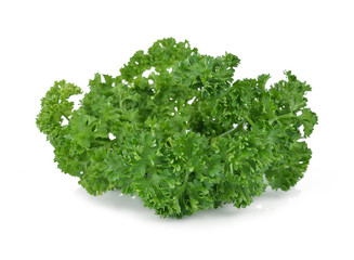 parsley isolated on white background