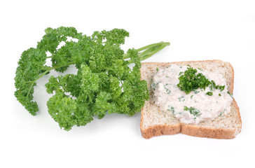 Tuna Sandwich and parsley isolated on white background