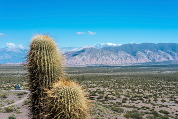 Los Cardones National Park in Salta, Argentina.